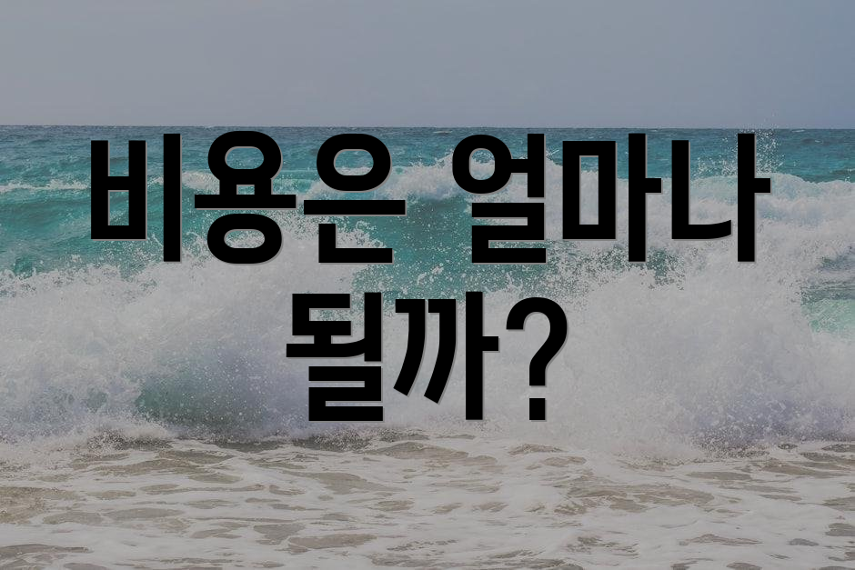 비용은 얼마나 될까?