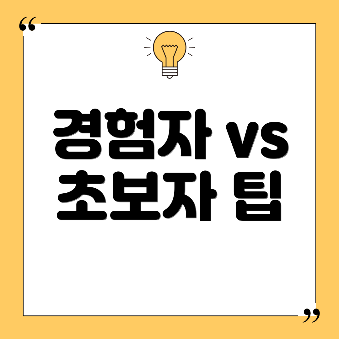 경험자 vs 초보자 팁