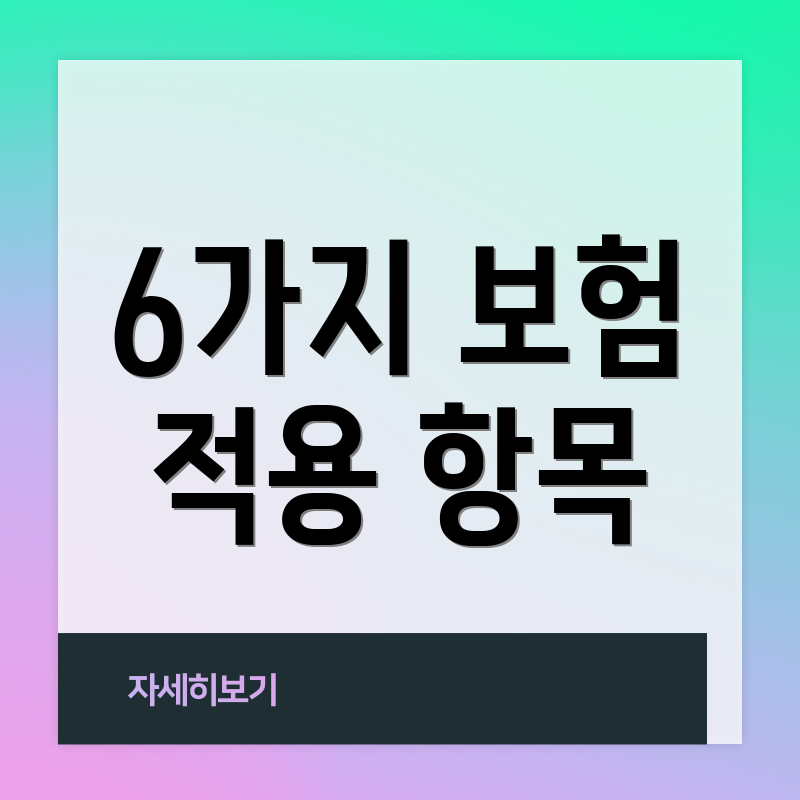 6가지 보험 적용 항목