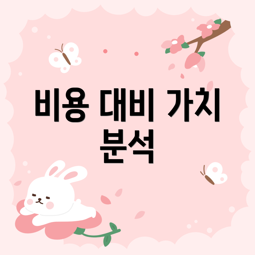 비용 대비 가치 분석