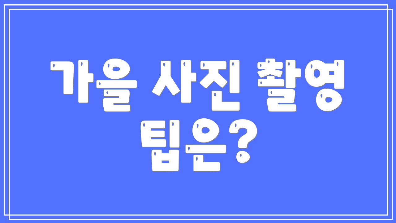 가을 사진 촬영 팁은?