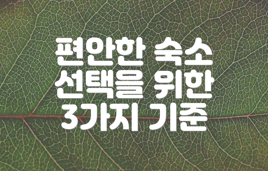 편안한 숙소 선택을 위한 3가지 기준