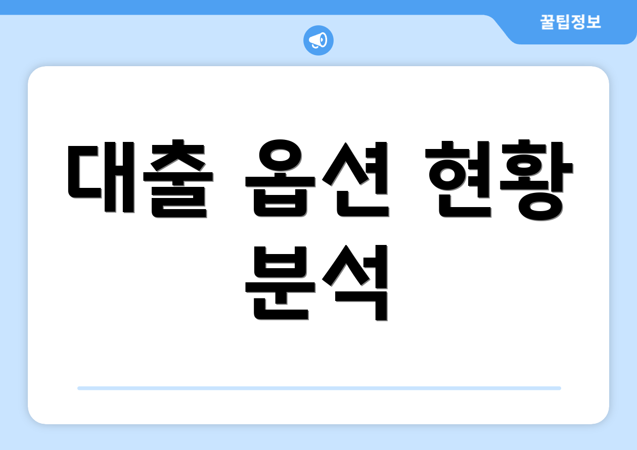 대출 옵션 현황 분석