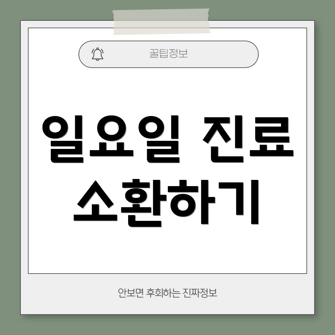 일요일 진료 소환하기