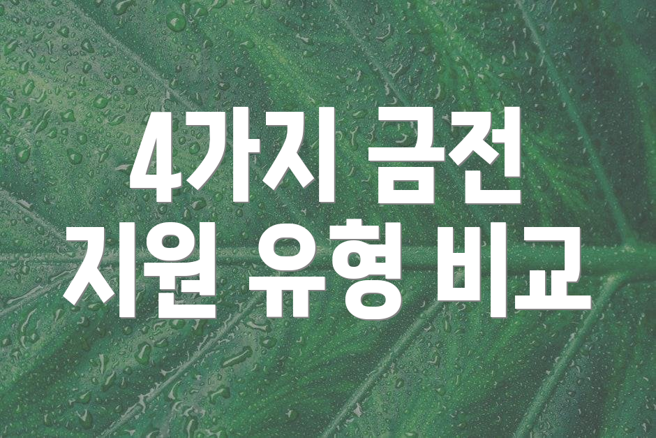 4가지 금전 지원 유형 비교