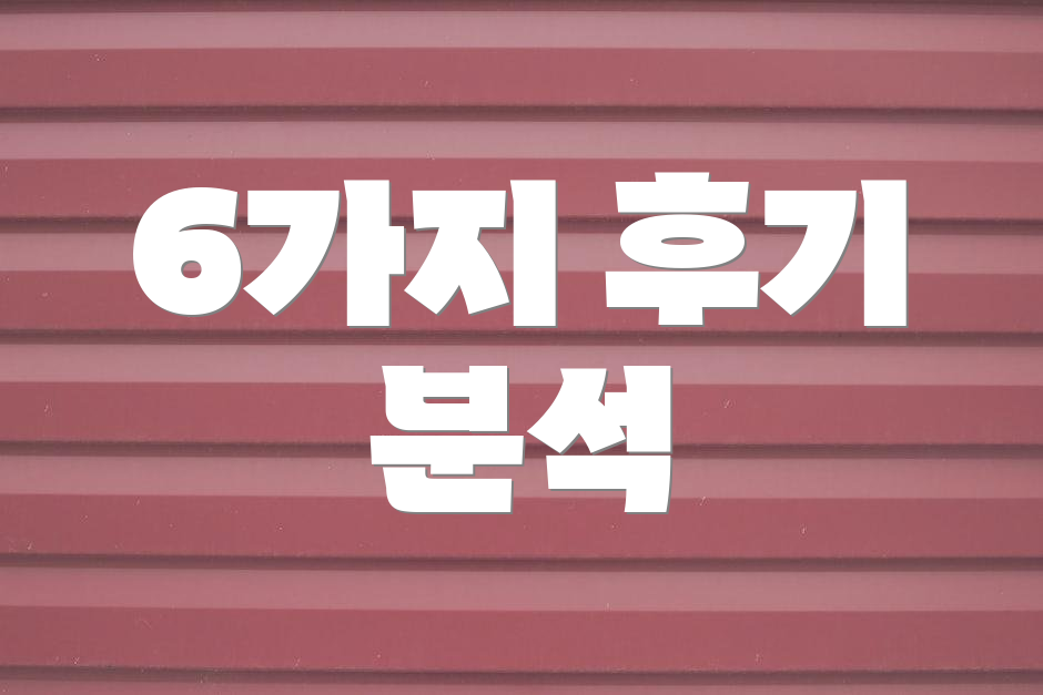 6가지 후기 분석