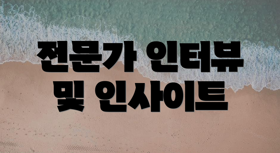 전문가 인터뷰 및 인사이트