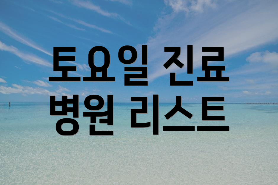 토요일 진료 병원 리스트