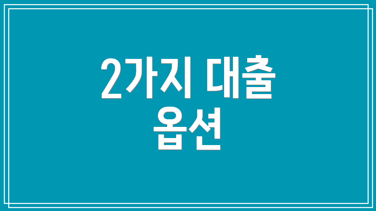 2가지 대출 옵션