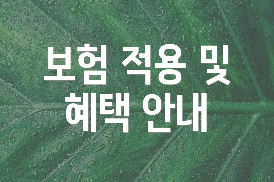 보험 적용 및 혜택 안내