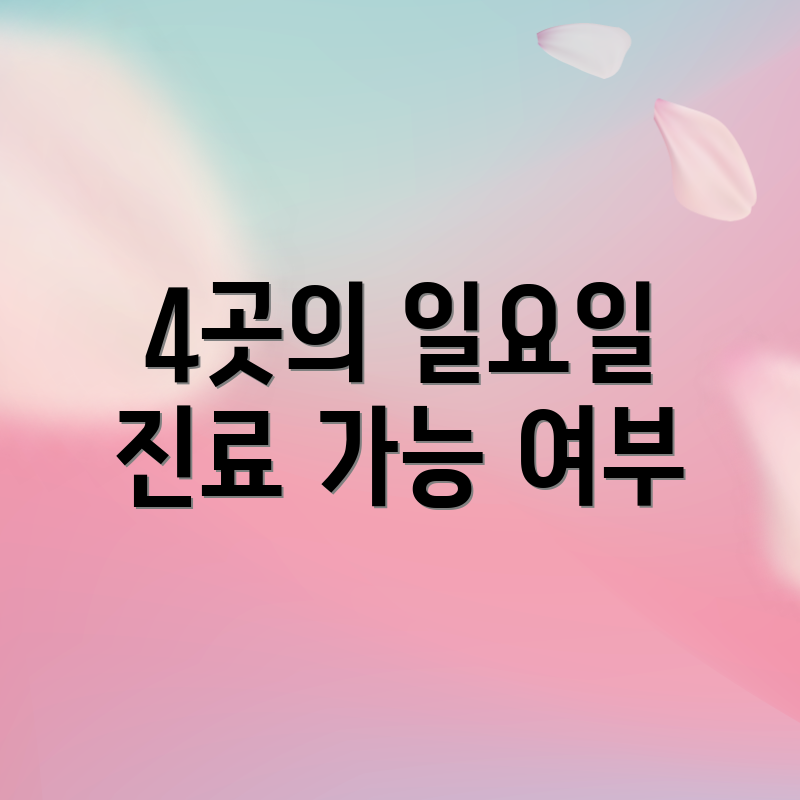 4곳의 일요일 진료 가능 여부