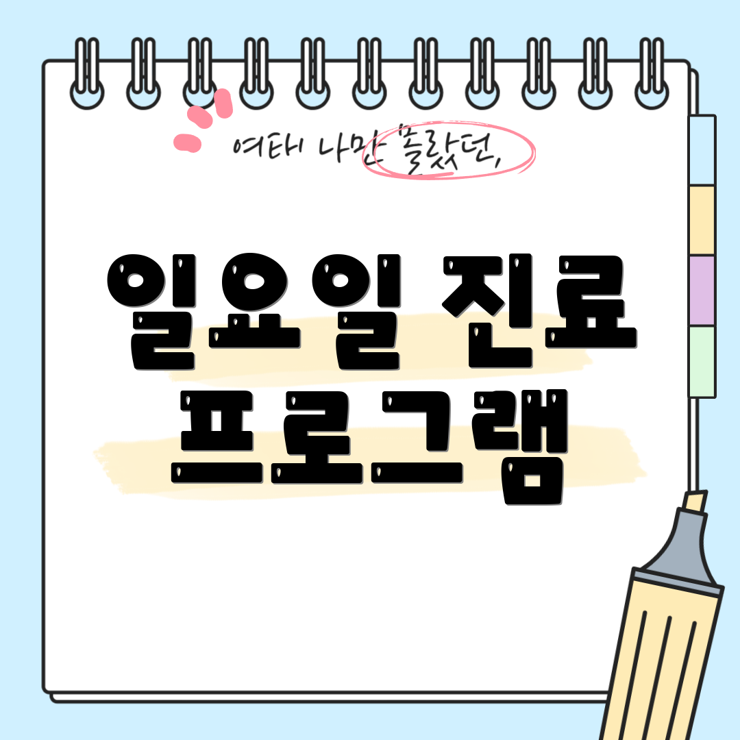 일요일 진료 프로그램