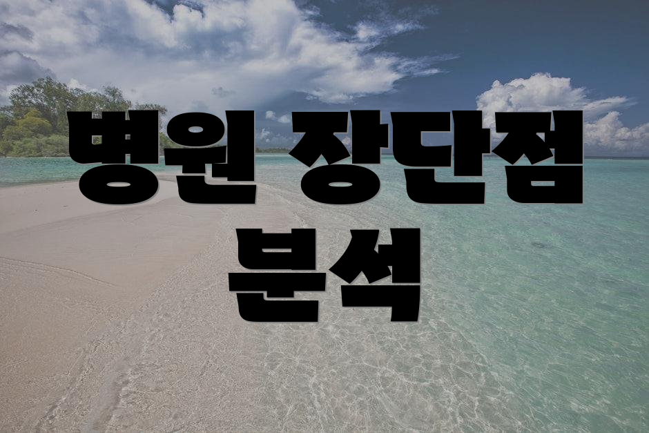 병원 장단점 분석