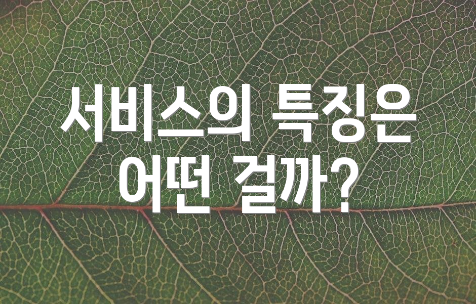 서비스의 특징은 어떤 걸까?