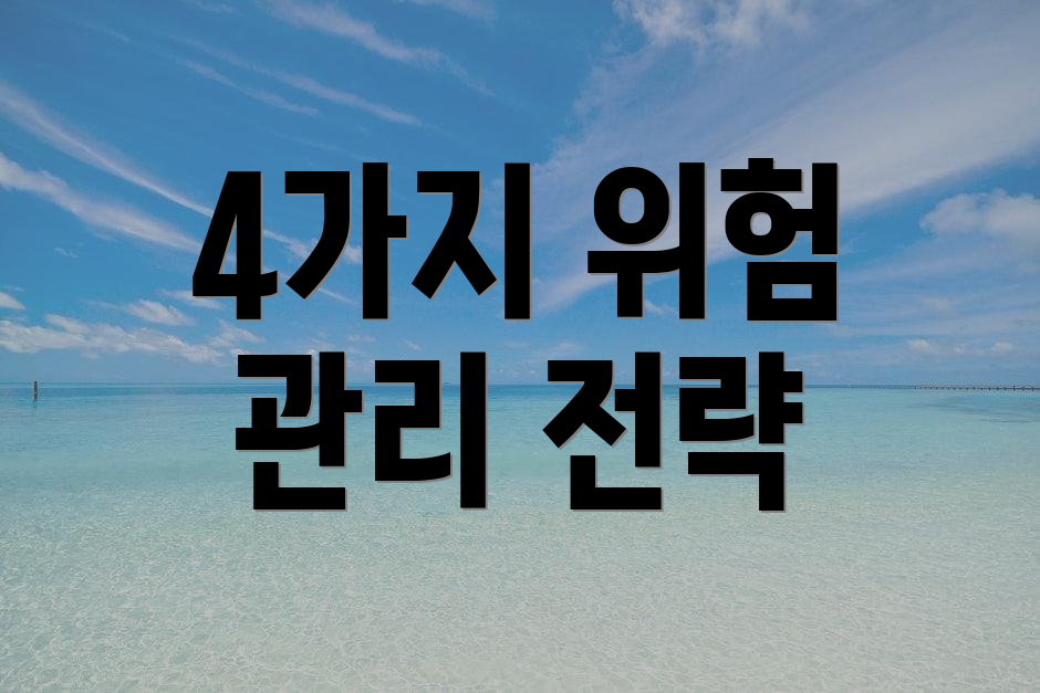 4가지 위험 관리 전략