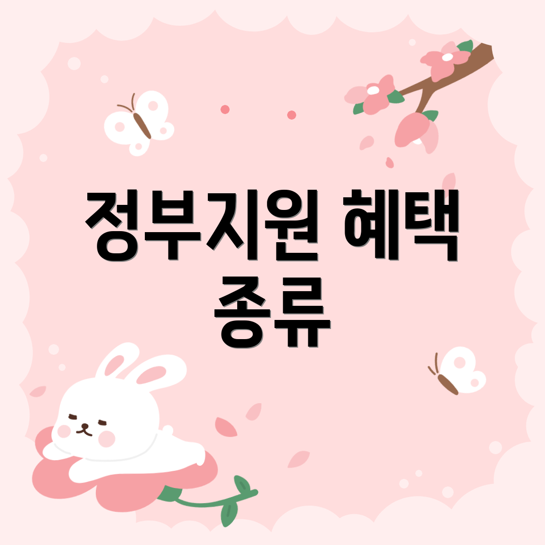 정부지원 혜택 종류