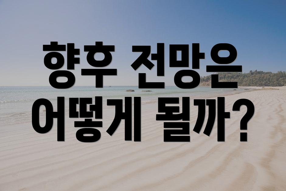 향후 전망은 어떻게 될까?