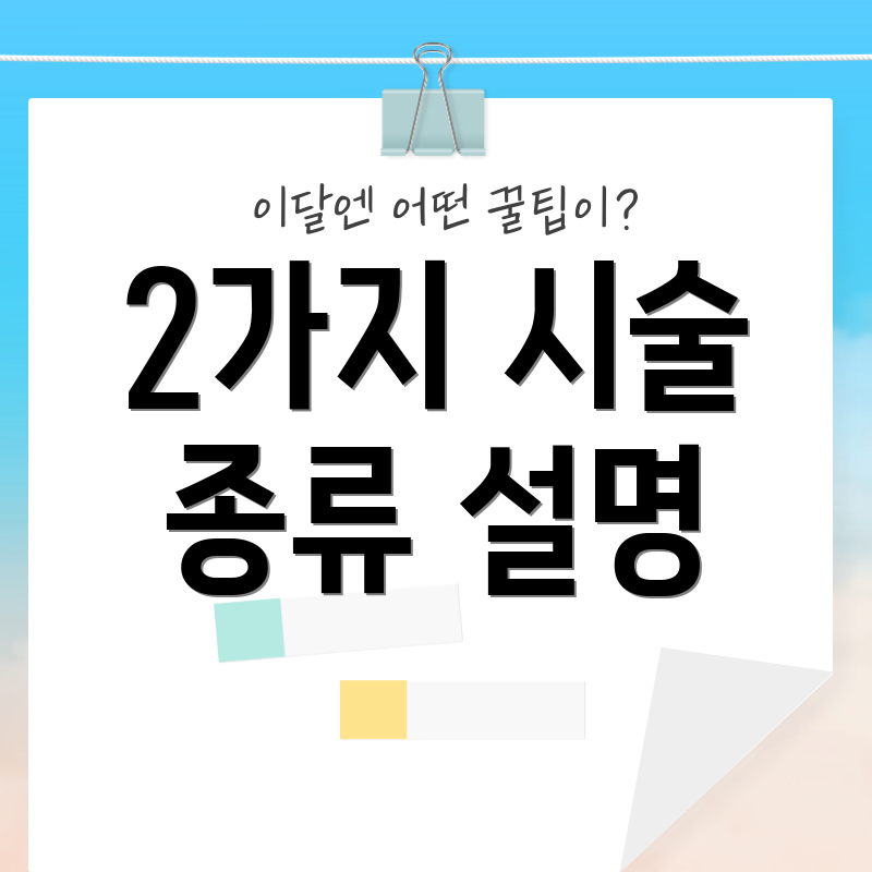 2가지 시술 종류 설명