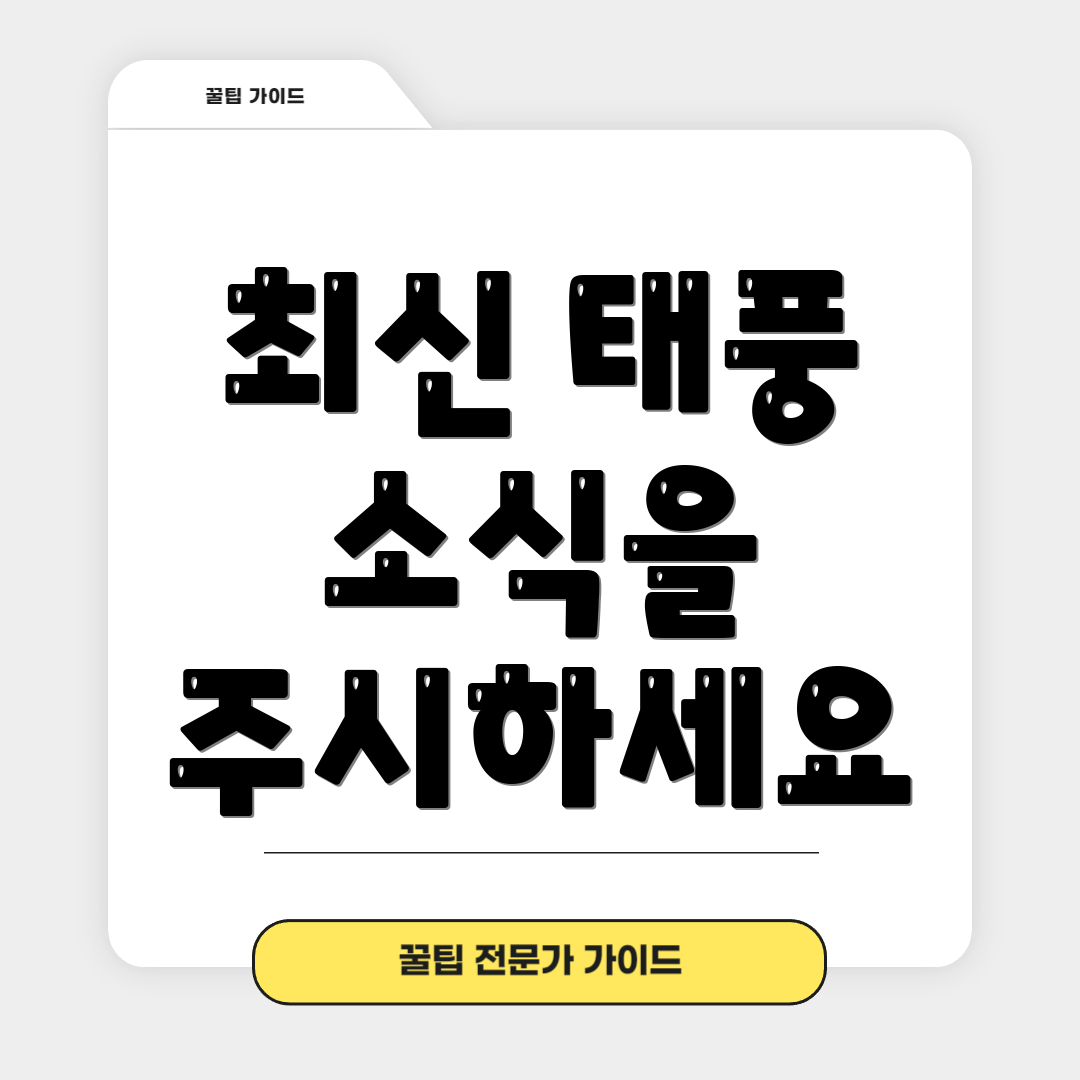 최신 태풍 소식을 주시하세요