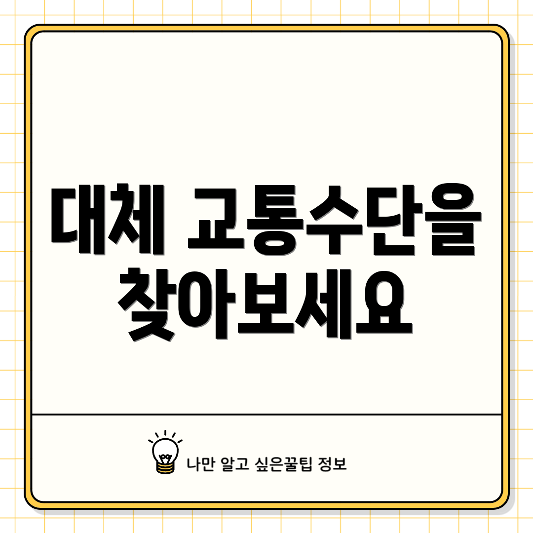 대체 교통수단을 찾아보세요