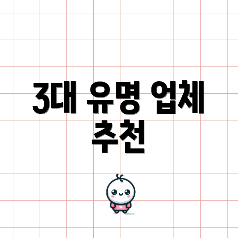 3대 유명 업체 추천