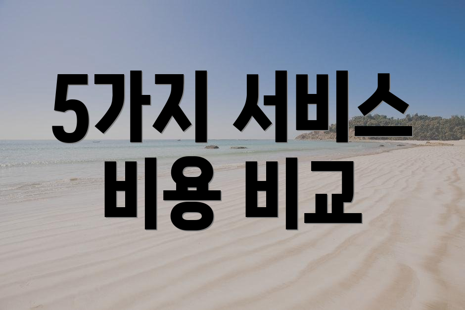 5가지 서비스 비용 비교