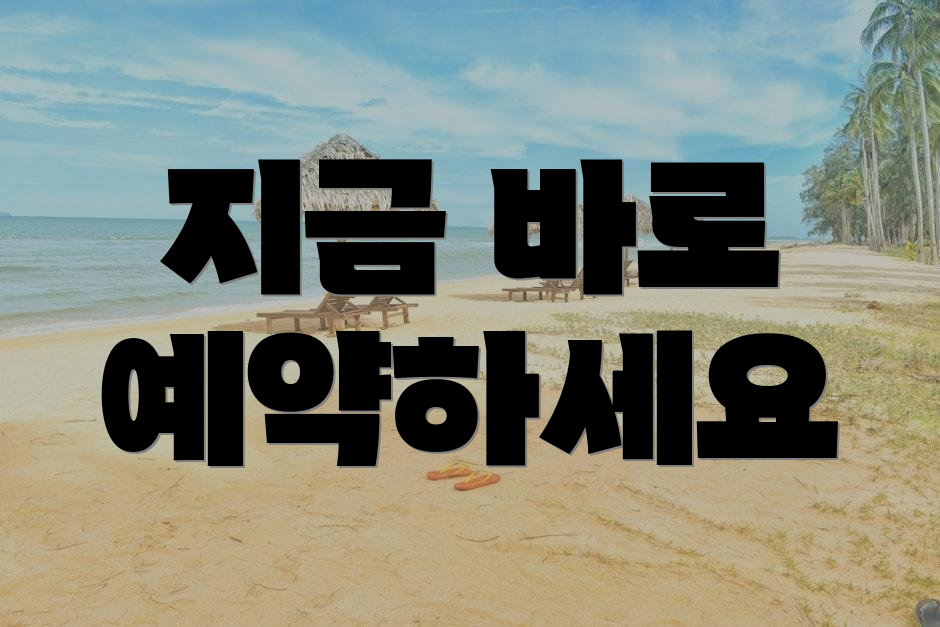 지금 바로 예약하세요