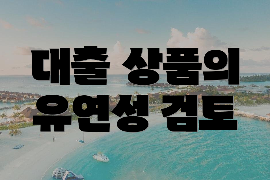 대출 상품의 유연성 검토