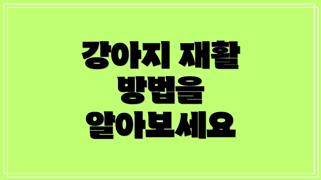 강아지 재활 방법을 알아보세요