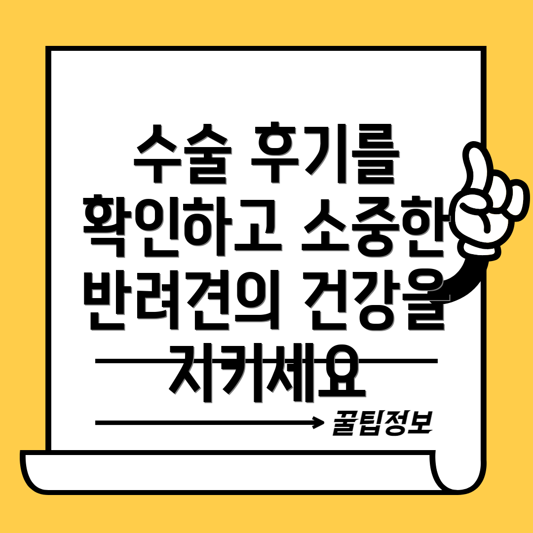 수술 후기를 확인하고 소중한 반려견의 건강을 지키세요