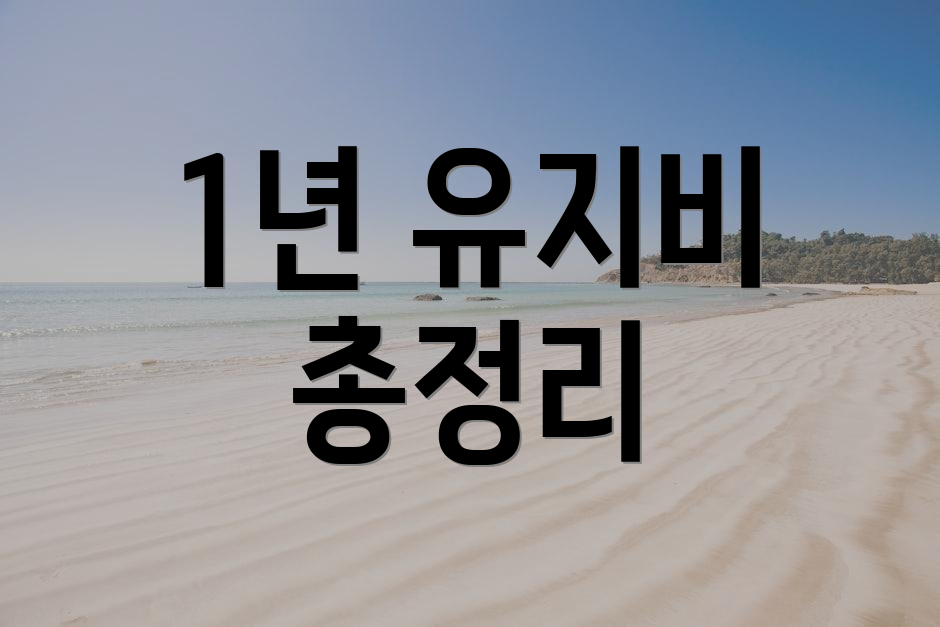 1년 유지비 총정리