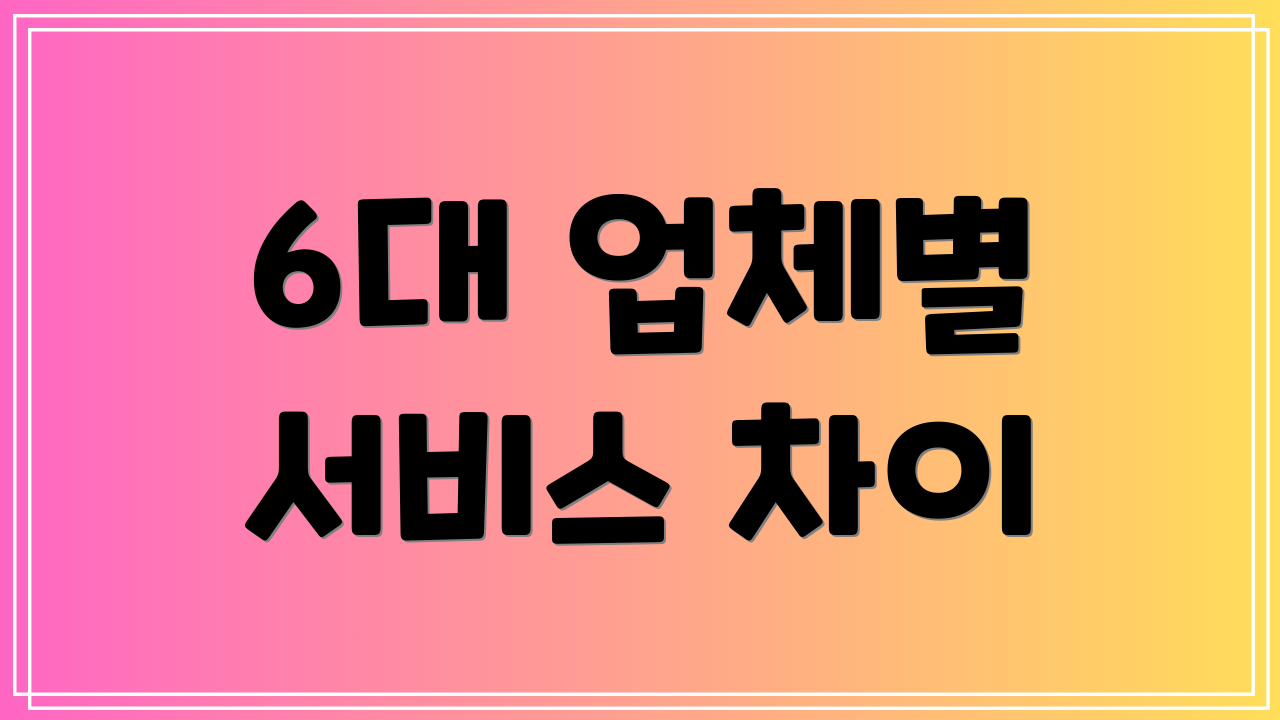 6대 업체별 서비스 차이