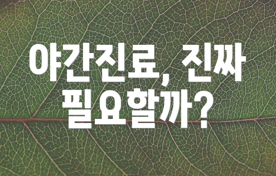 야간진료, 진짜 필요할까?