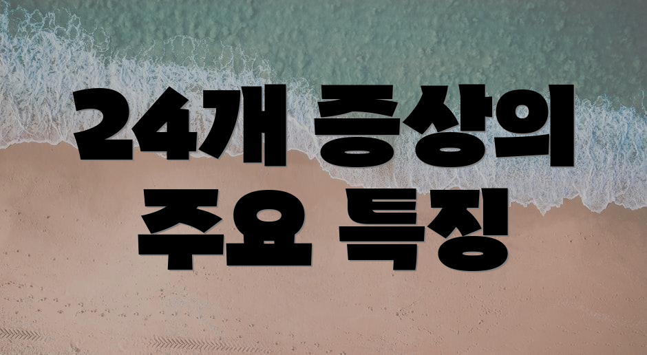 24개 증상의 주요 특징