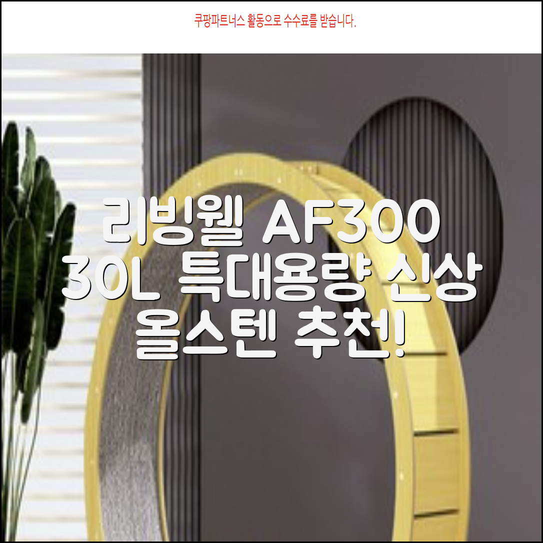 [최신형]리빙웰 30L 특대용량 신제품 올스텐 에어프라이어 AF300 추천 리뷰