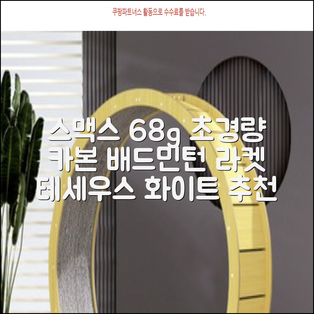 스맥스코리아 풀카본 초경량 배드민턴 라켓 68g, 테세우스 화이트, 1개 추천 리뷰