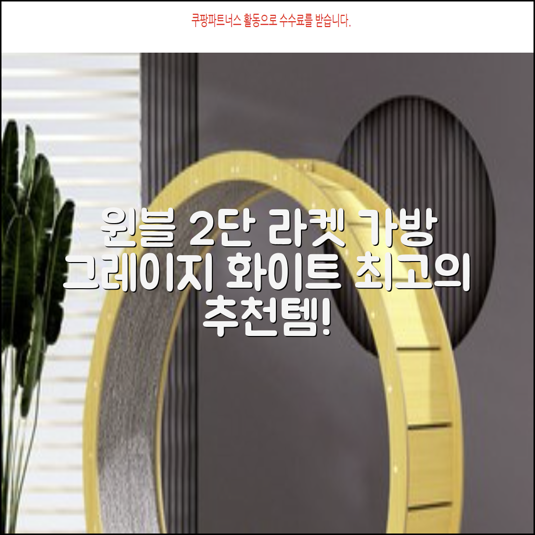 윈불 2단 배드민턴 테니스 라켓 가방, 그레이지 화이트, 1개 추천 리뷰