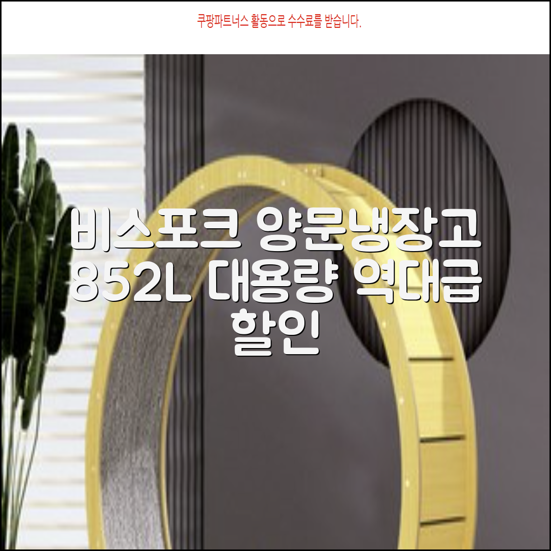 [색상선택형] 삼성전자 비스포크 852L 2도어 양문형 냉장고 방문설치, RS84DB5002CW 추천 리뷰