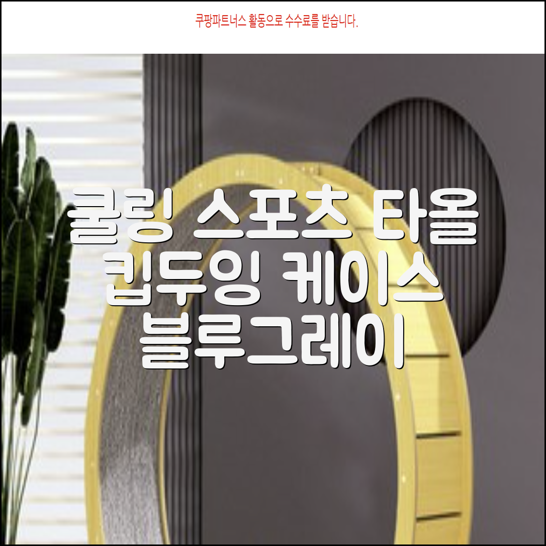 키프두잉 건식 스포츠 쿨 타올 케이스, 블루 + 그레이, 1세트 추천 리뷰