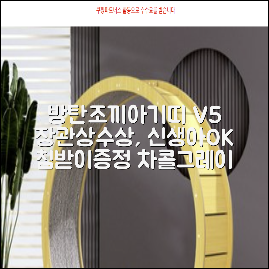 방탄조끼아기띠V5 _장관상수상 3D 메쉬 신생아가능 침받이증정, 차콜그레이 추천 리뷰