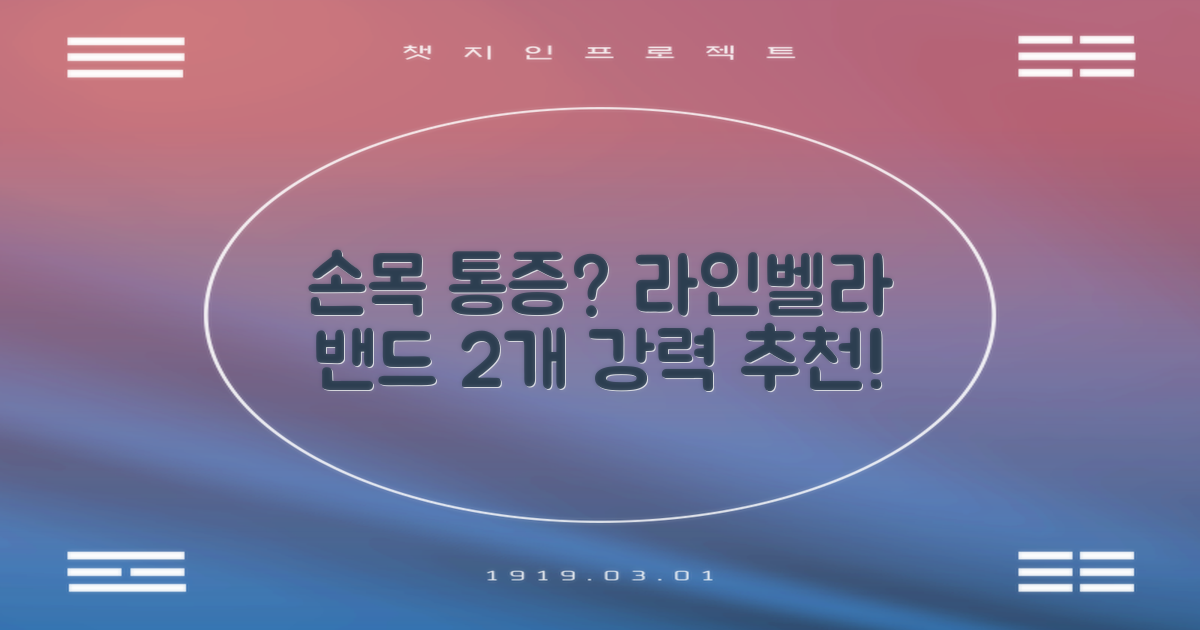 라인벨라 의료용 손목 압박용 밴드 블랙, 2개 추천 리뷰