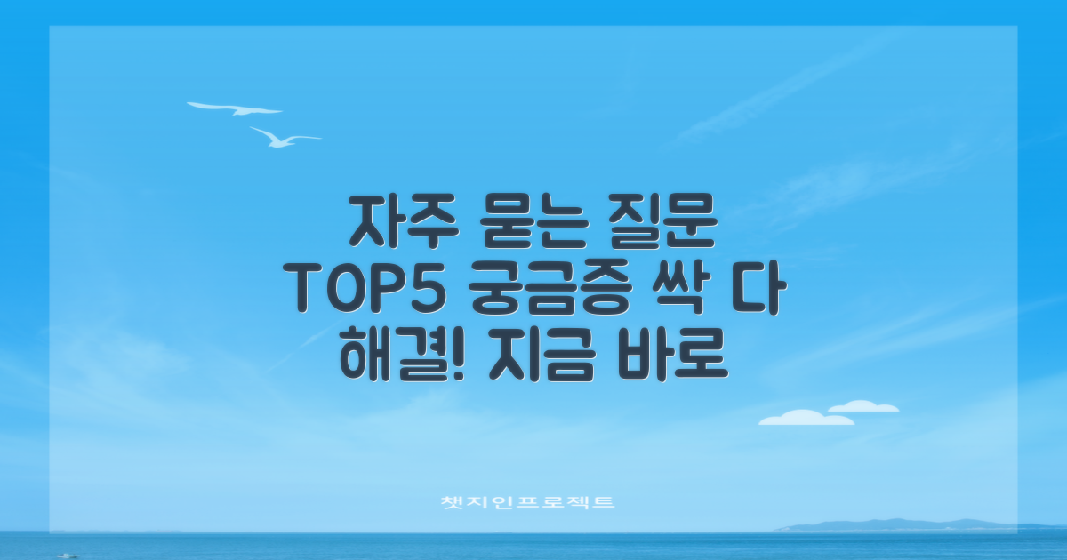 자주 묻는 질문