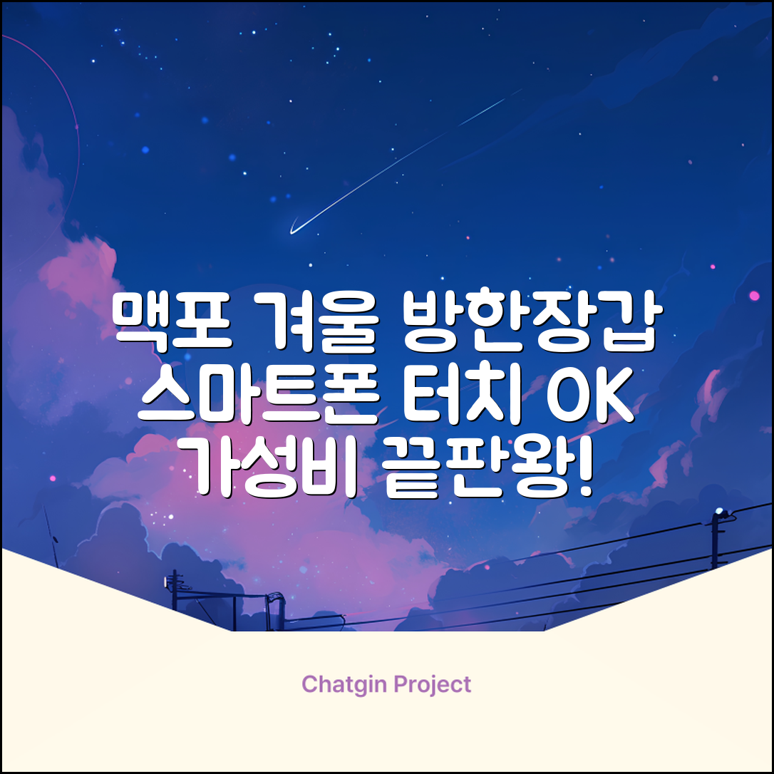 맥시멈포커스 스마트폰 터치 겨울 방한장갑 추천 리뷰