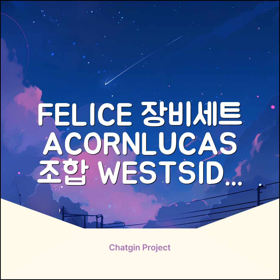 FELICE 장비세트6 ACORN데크 바인딩 LUCAS부츠, WESTSIDE 레드154+바인딩M, 1개 추천 리뷰