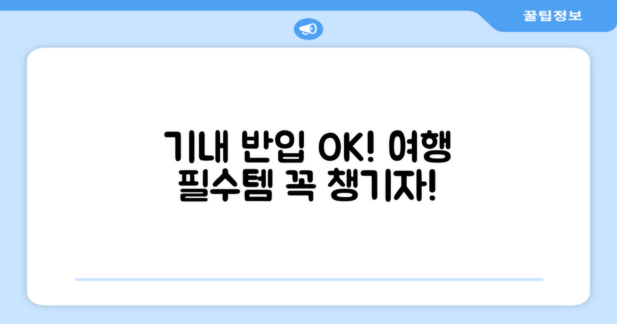 여행 필수템, 기내 반입 OK