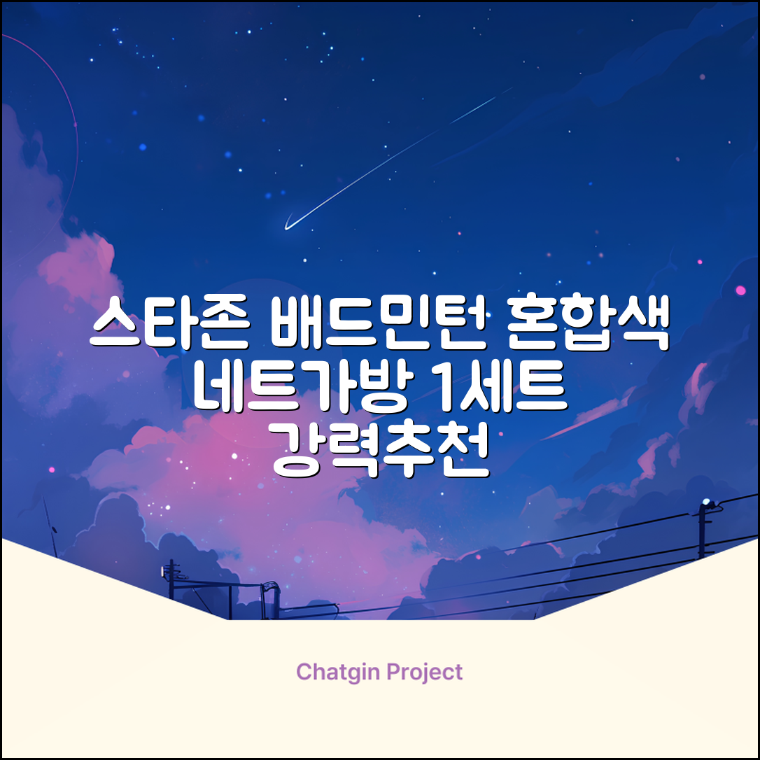 스타존 배드민턴 그물 네트 + 가방, 혼합색상, 1세트 추천 리뷰