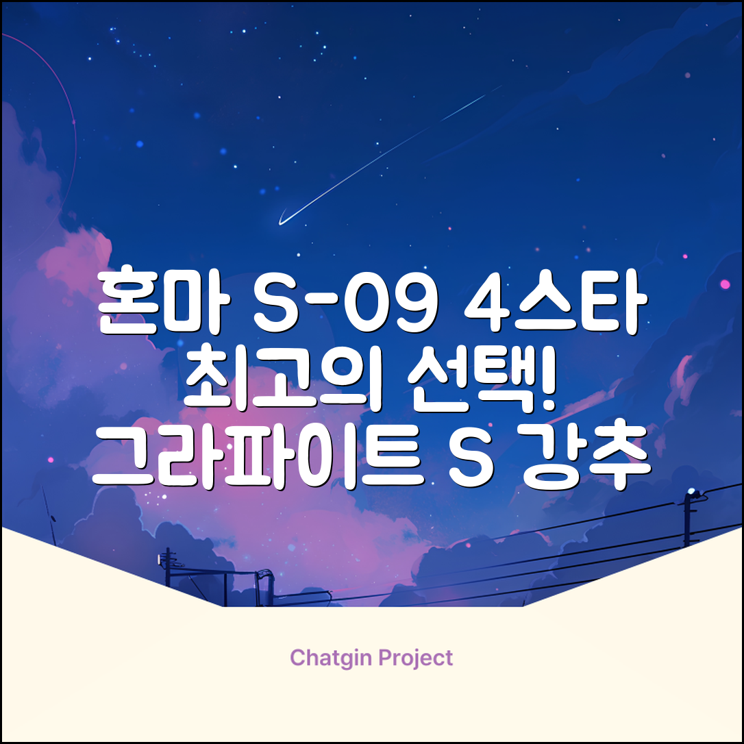 혼마아이언세트 남자아이언세트 S-09 혼마아이언 4스타 4/5/6/7/8/9/10/11/A/S 아이언커버 포함, 그라파이트S 추천 리뷰