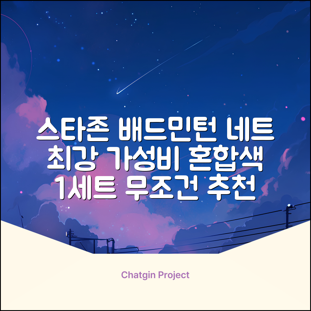 스타존 배드민턴 그물 네트 + 가방, 혼합색상, 1세트 추천 리뷰