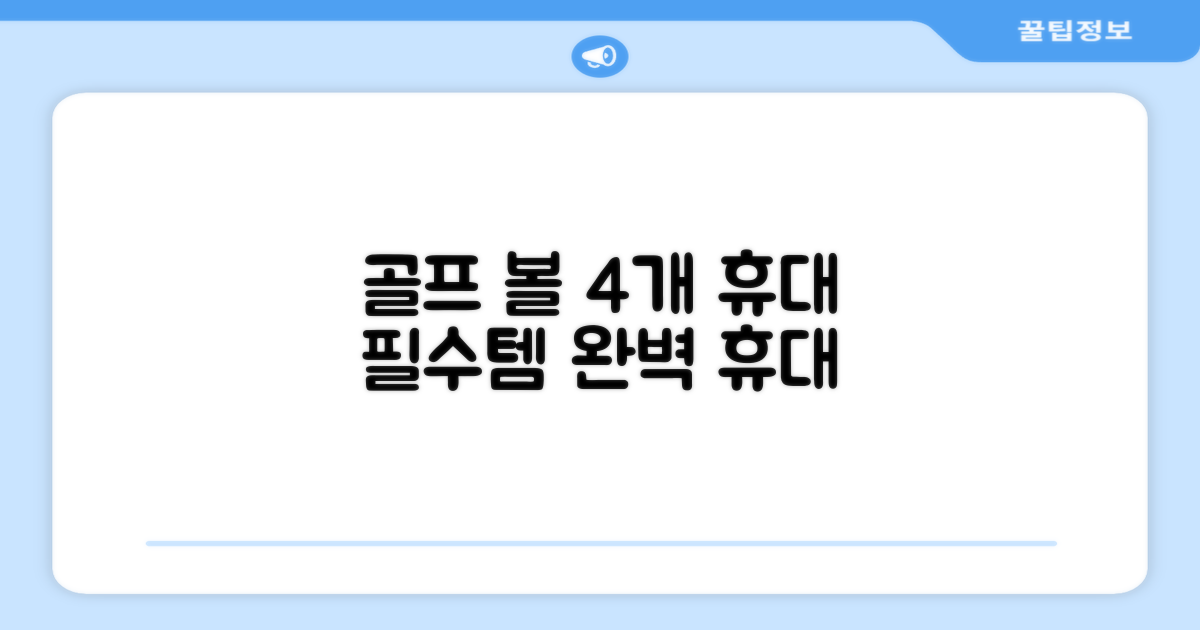 골프 볼 4개 휴대 최적