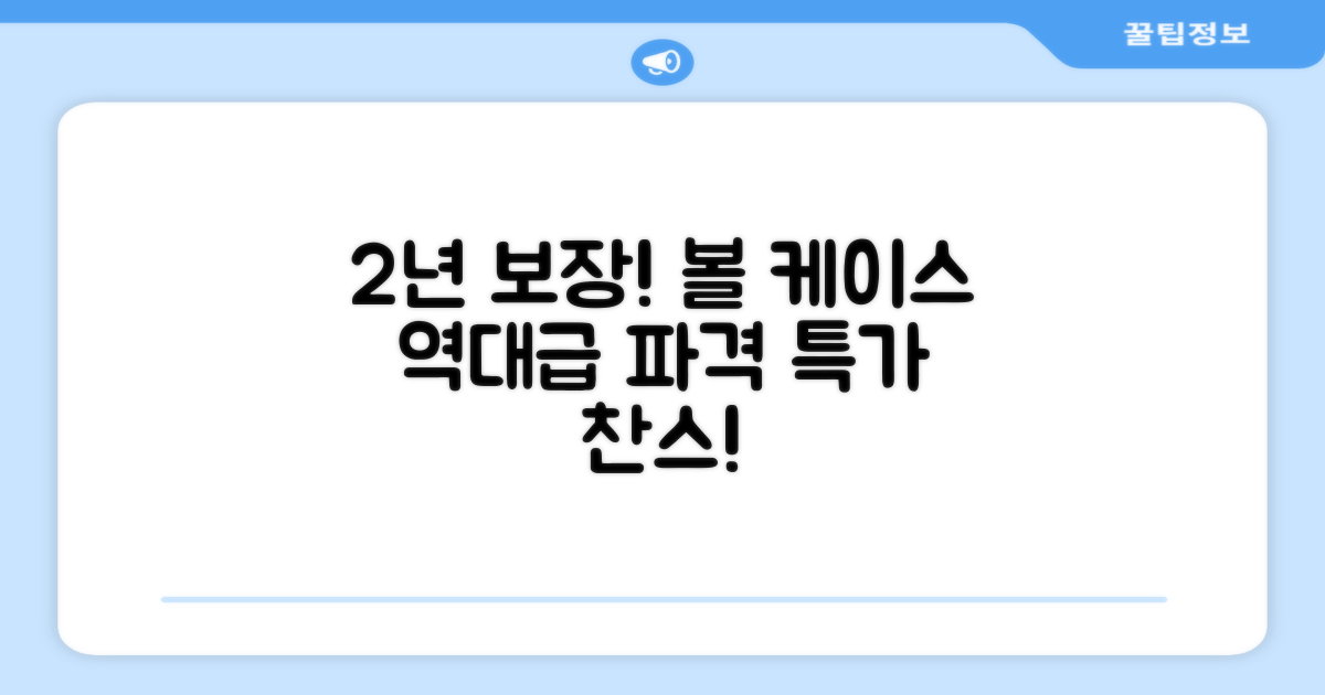 볼 케이스 2년 보장